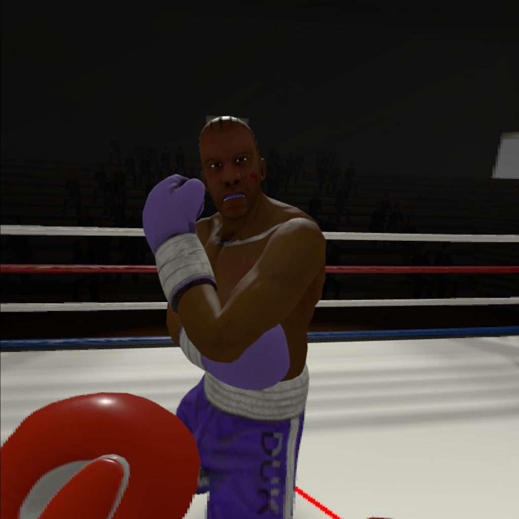 thrill of the fight oculus quest